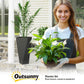 Set of three tall black planters with potted greenery and drainage-ready bases