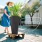 Tall black planter with green plant on a wooden cart for easy moving outdoors