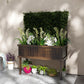 Dark wood elevated garden planter with trellis, filled with white flowers and greens
