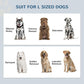 Dog size chart graphic with multiple dog illustrations