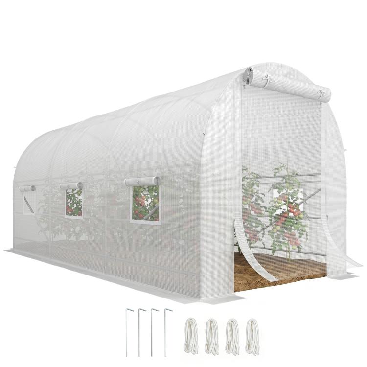 White walk-in tunnel greenhouse with roll-up door and windows, steel frame