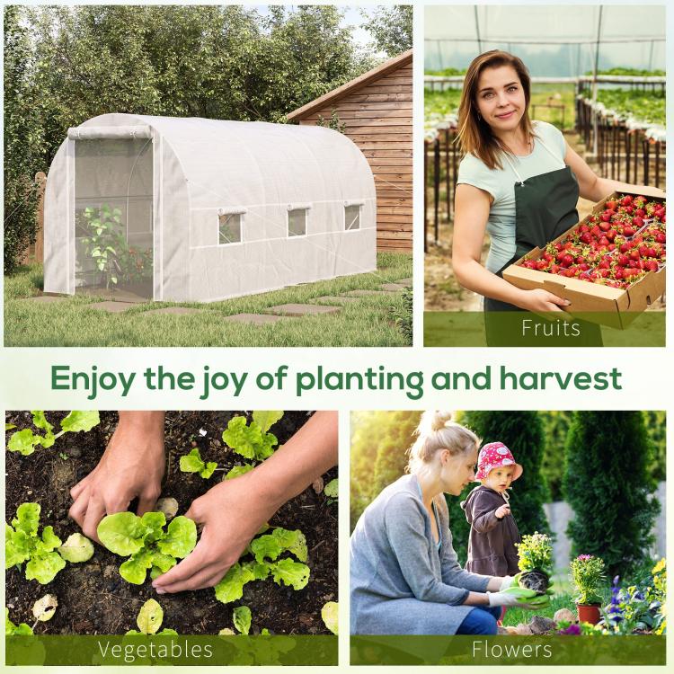 White tunnel greenhouse on grass with roll-up door and window openings