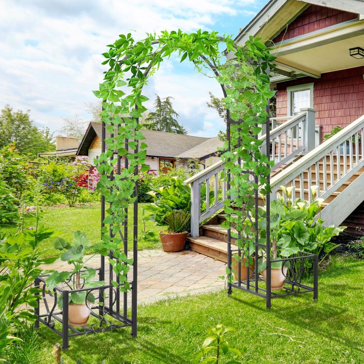 Dark gray steel garden arch arbor in outdoor yard with leafy climbing plants