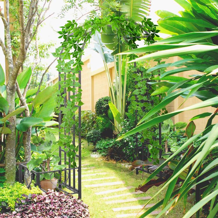 Dark gray steel garden arch arbor beside walkway, surrounded by dense green plants