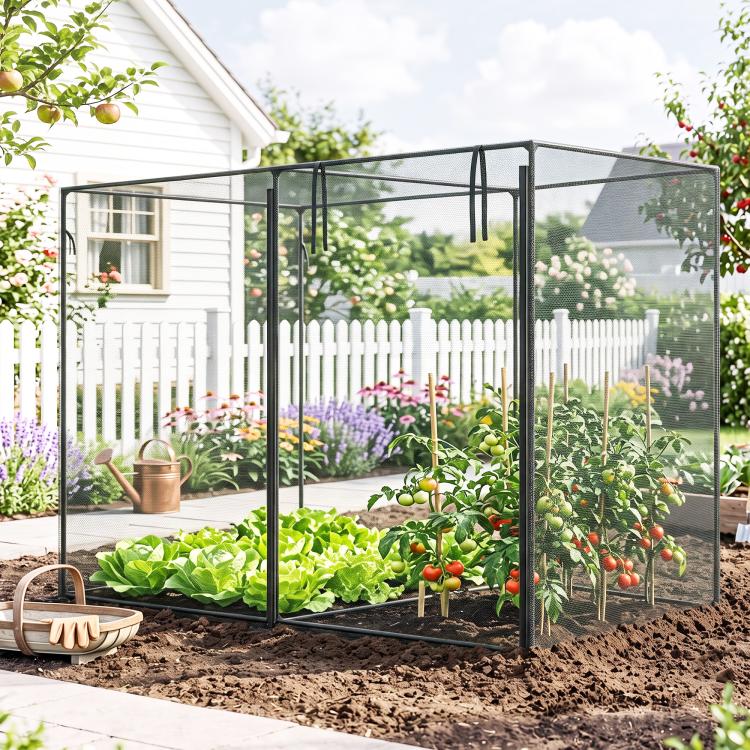 Black metal garden crop cage with mesh panels and hinged door, staked on soil