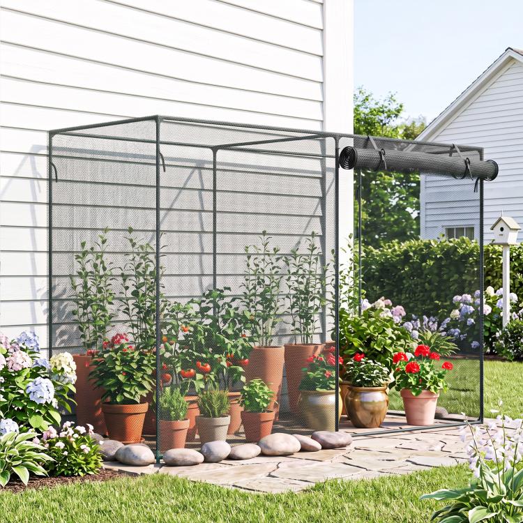 Black plant protection crop cage with netting over potted flowers on a patio