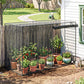 Black mesh crop cage with plants in pots along a house-side garden bed