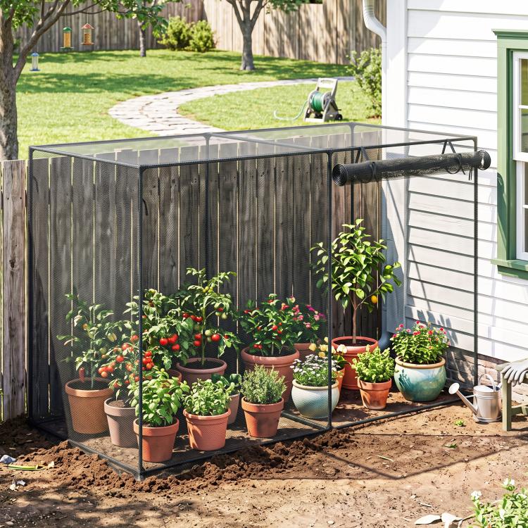 Black mesh crop cage with plants in pots along a house-side garden bed