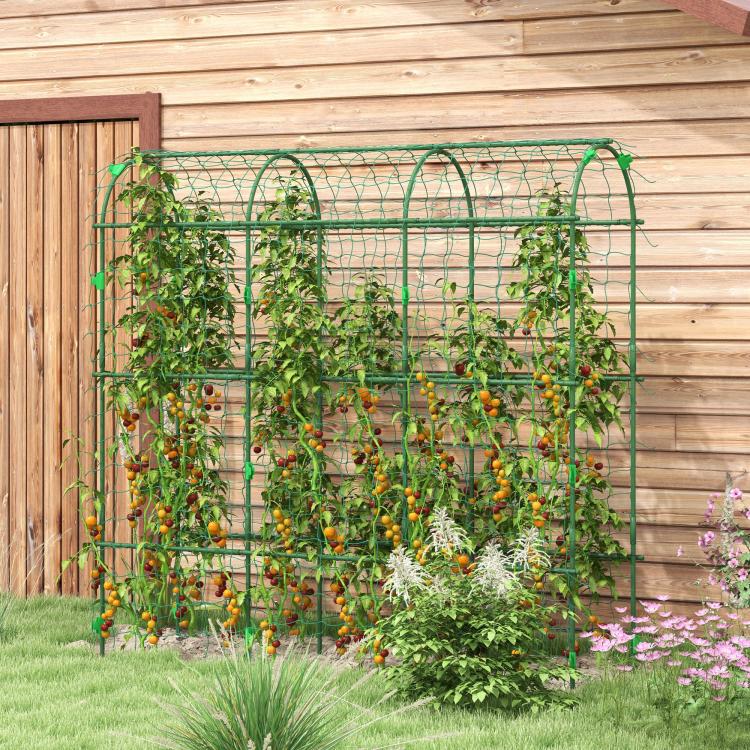 Green metal arch trellis with wire grid, supporting climbing plants in a garden