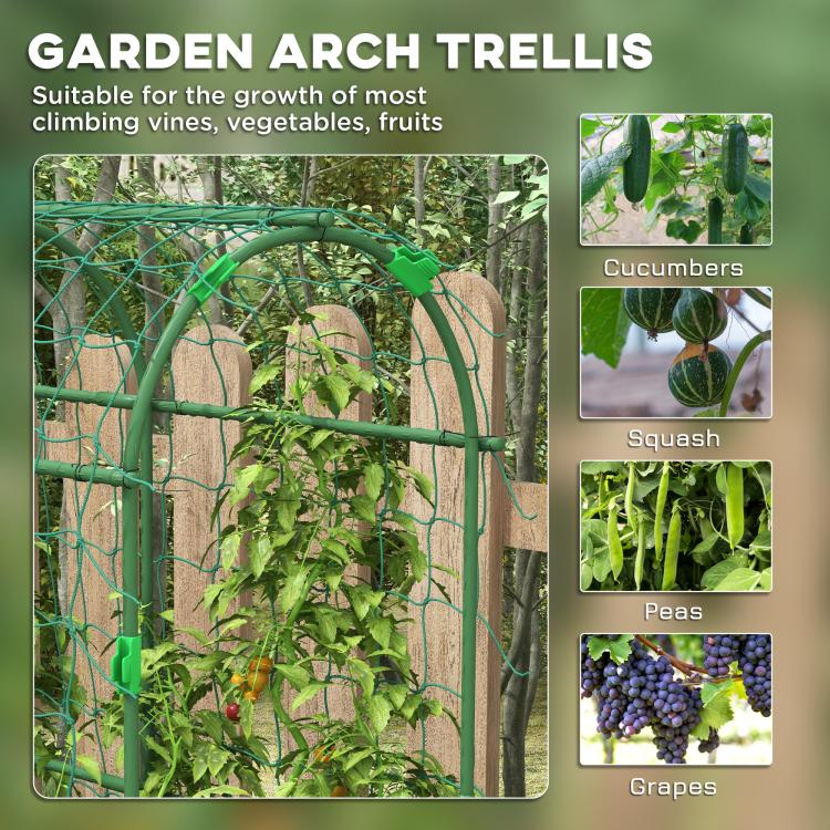 Green metal garden arch trellis frame with wire grid and curved top bars