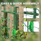 Green arch trellis assembly showing metal cross clips and plastic clasps