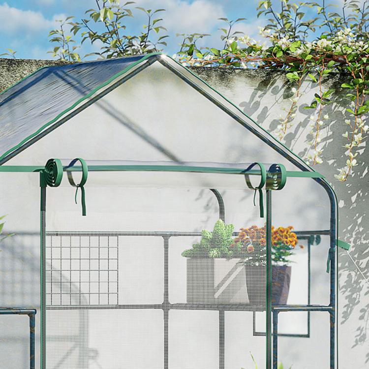 Outdoor walk-in mini greenhouse close-up of green frame, mesh door, and clear cover
