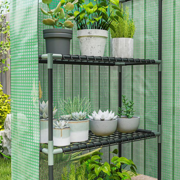 Green walk-in greenhouse with 3-tier metal shelves and translucent green PE cover