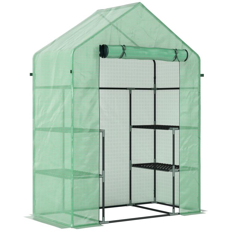 Walk-in greenhouse with green translucent PE cover and metal frame, 3-tier shelves