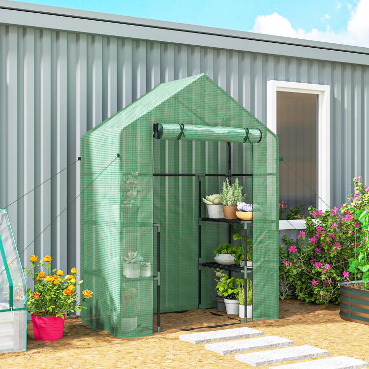 Green walk-in greenhouse with open front roll-up door and multi-tier shelves inside