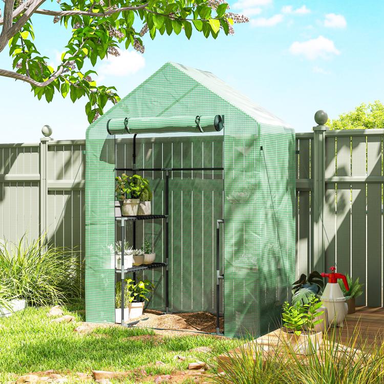 Green walk-in greenhouse with metal frame and PE cover, roll-up door open view