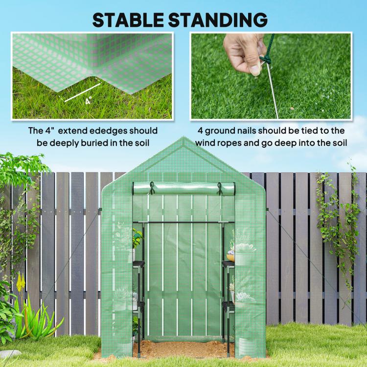 Green walk-in greenhouse with anchored base using ground nails and tie ropes