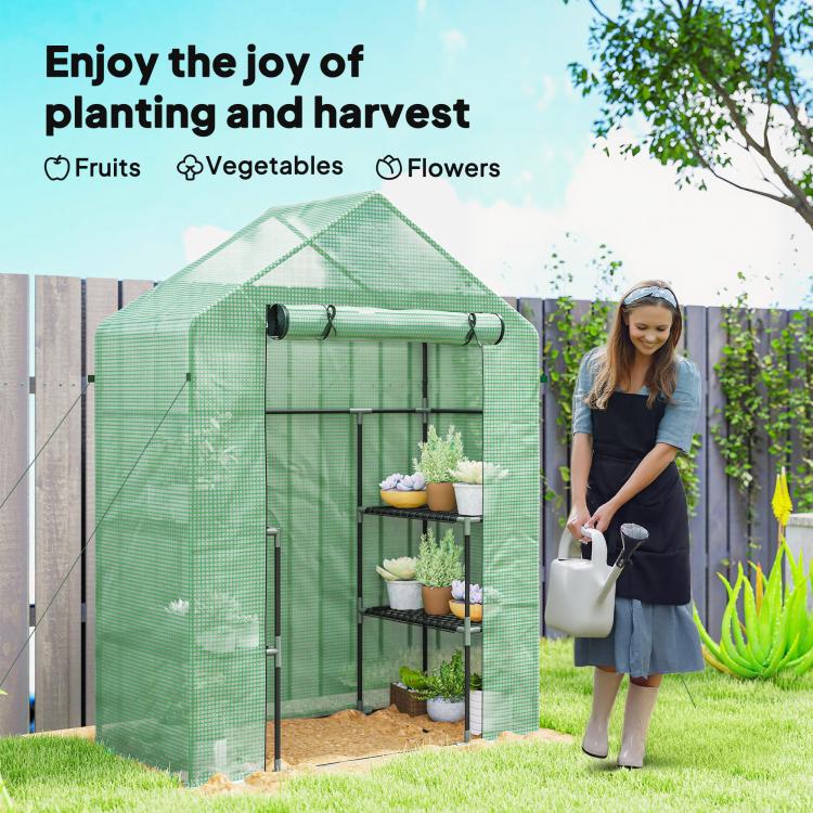 Green walk-in greenhouse with roll-up door and 2–3 tier shelves holding potted plants