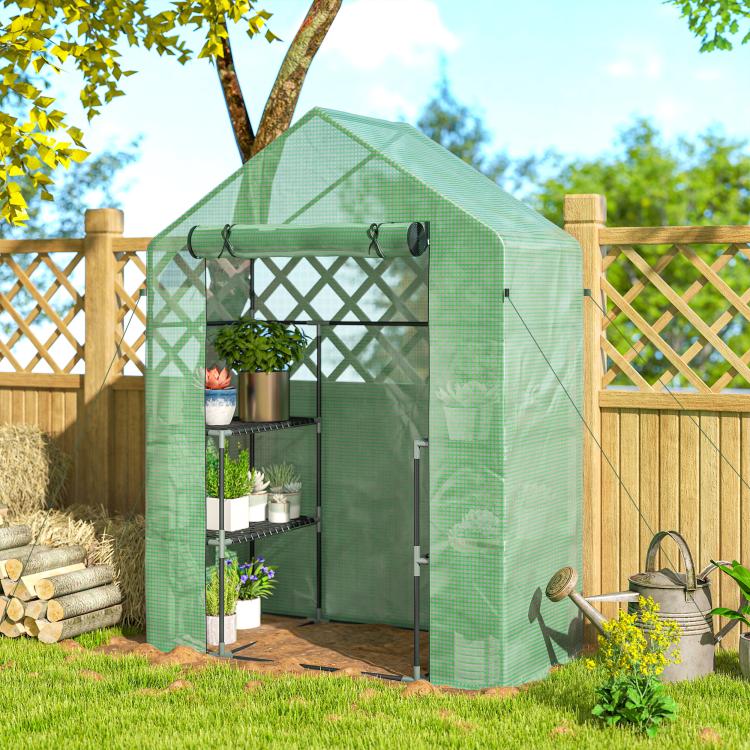 Green walk-in greenhouse with roll-up door, metal shelves, and potted plants