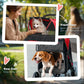 Red and black dog stroller with front and rear access doors and front mesh panel
