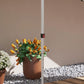 Pop-up canopy frame with upright pole and sidewall clip connector