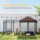 Outdoor dog kennel run with brown canopy and steel mesh sides, with hanging rope lights