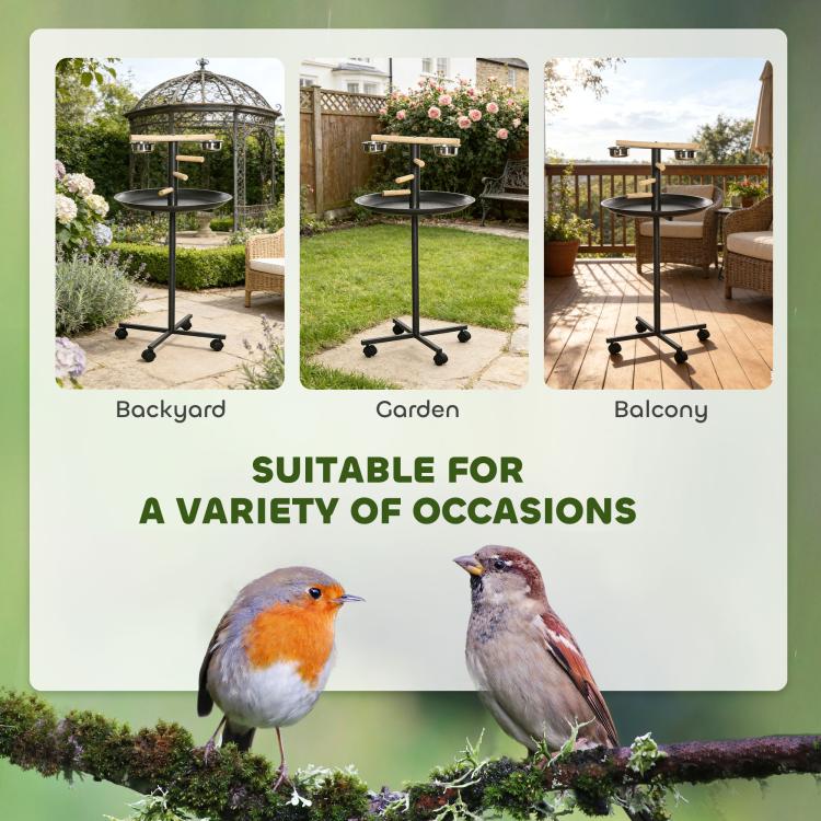 Bird play stand displayed for use in backyard, garden, and balcony settings