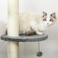 Grey cat climbing tower with round top perch, scratching post, and hanging ball