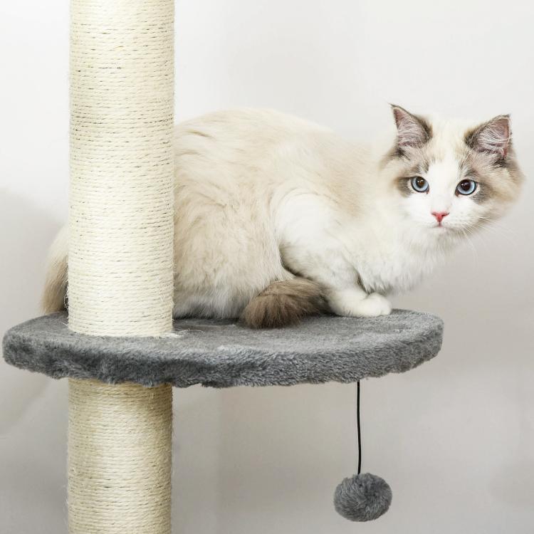 Grey cat climbing tower with round top perch, scratching post, and hanging ball