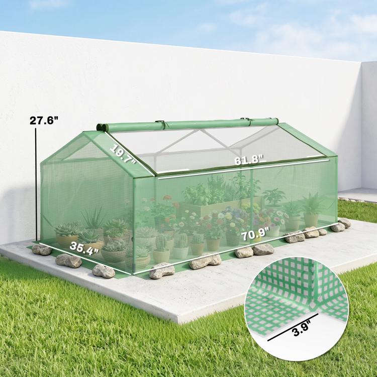 Green mini greenhouse with transparent mesh panels on gray base stones