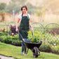 Garden fence panel set with arched tops and diamond mesh around plants