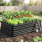 Black steel raised garden bed holding leafy greens, tomatoes, and soil