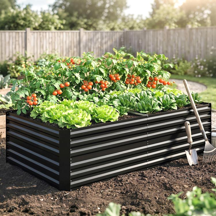 Black steel raised garden bed holding leafy greens, tomatoes, and soil