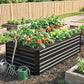 Black steel raised garden bed with mixed vegetables and garden tools