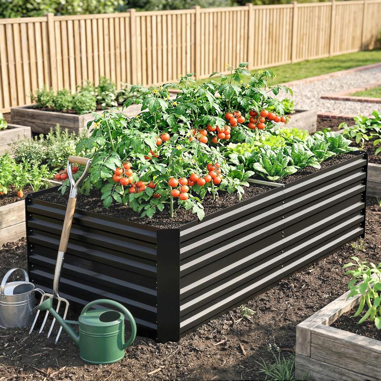 Black steel raised garden bed with mixed vegetables and garden tools