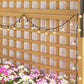 Wood trellis planter with raised bed, string lights, and flowering plants