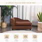 Brown pet sofa bed couch in living room setting, with folded cushion and low legs.