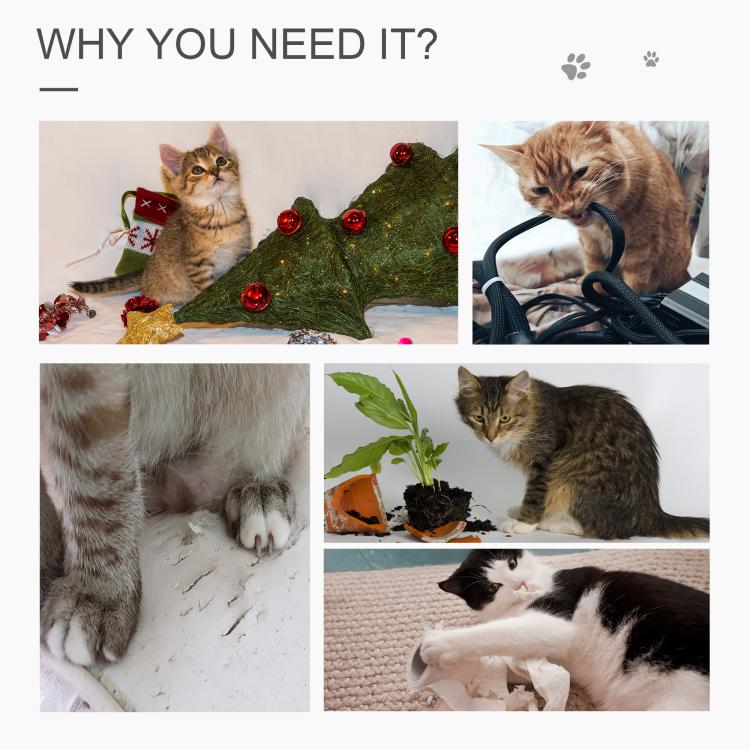 Cat tree promotional collage showing cats playing with toys and scratching areas