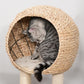 Beige sisal cat condo on scratching post, cat resting inside the round hideout
