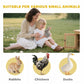 Pet suitability graphic showing rabbit, chicken, and duck icons
