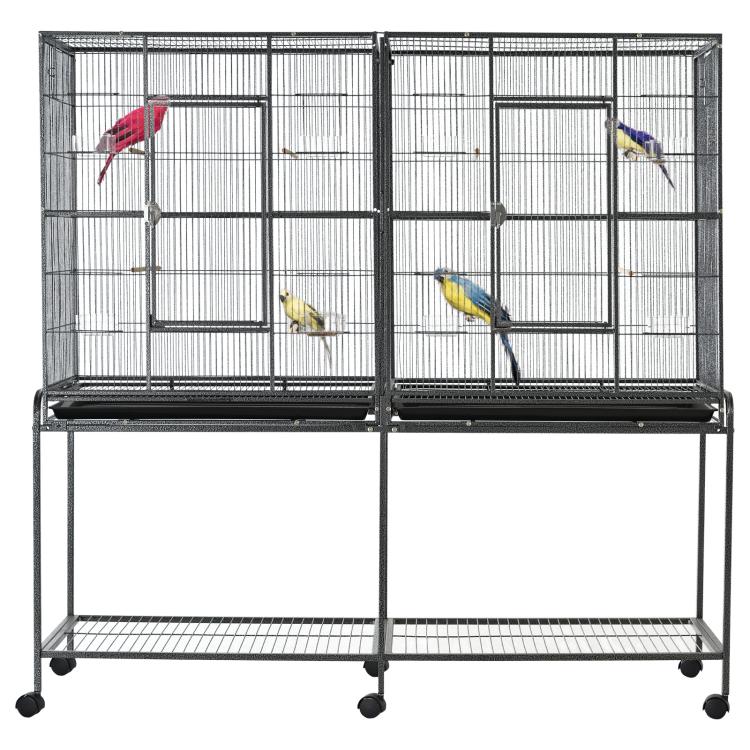 Bird cage with rolling base, wire enclosure and wooden perches, two colorful birds inside