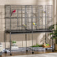 Rolling bird cage with wire enclosure and wooden perches, colorful birds perched inside