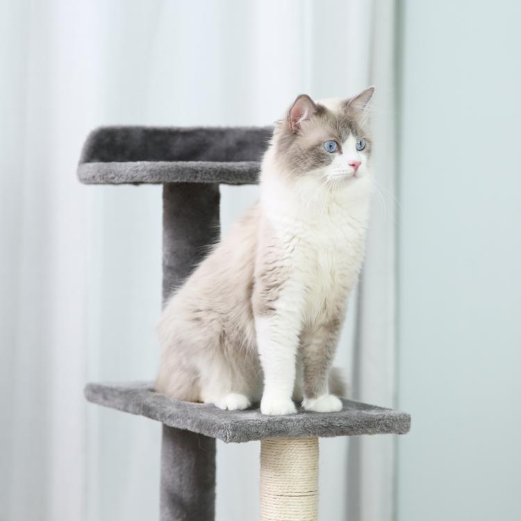 Grey cat tree perch with round top platform and sisal post, cat sitting