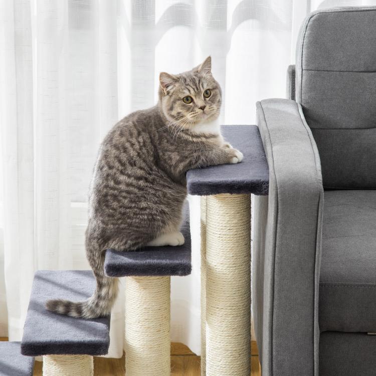 Gray tabby cat on cushioned 4-step cat tree with sisal posts