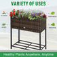 Brown rattan-style wicker elevated planter box with open bottom storage shelf
