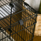 Black metal wire small animal cage with gray plastic latch near the door