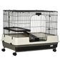 Two-tier black wire small animal cage with rolling base and platform levels