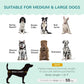 Green pet sofa bed for medium to large dogs, cushioned seat with tufted back