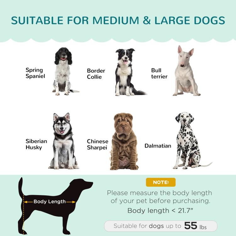 Green pet sofa bed for medium to large dogs, cushioned seat with tufted back
