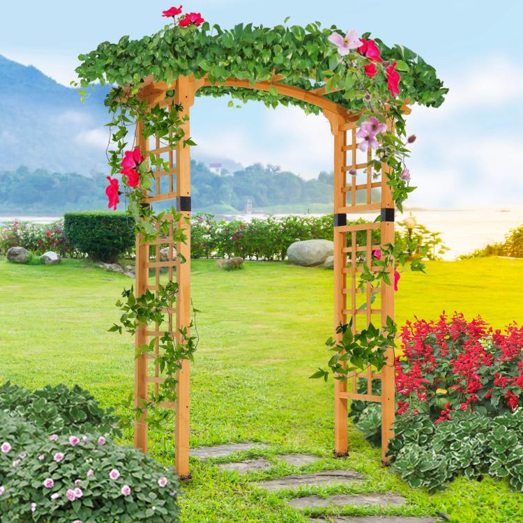 Wooden garden pergola arbor trellis with leafy vines and pink and red flowers on top